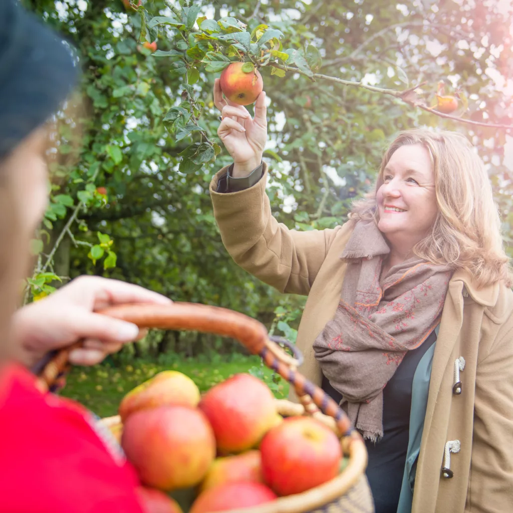 Woman picking an apple