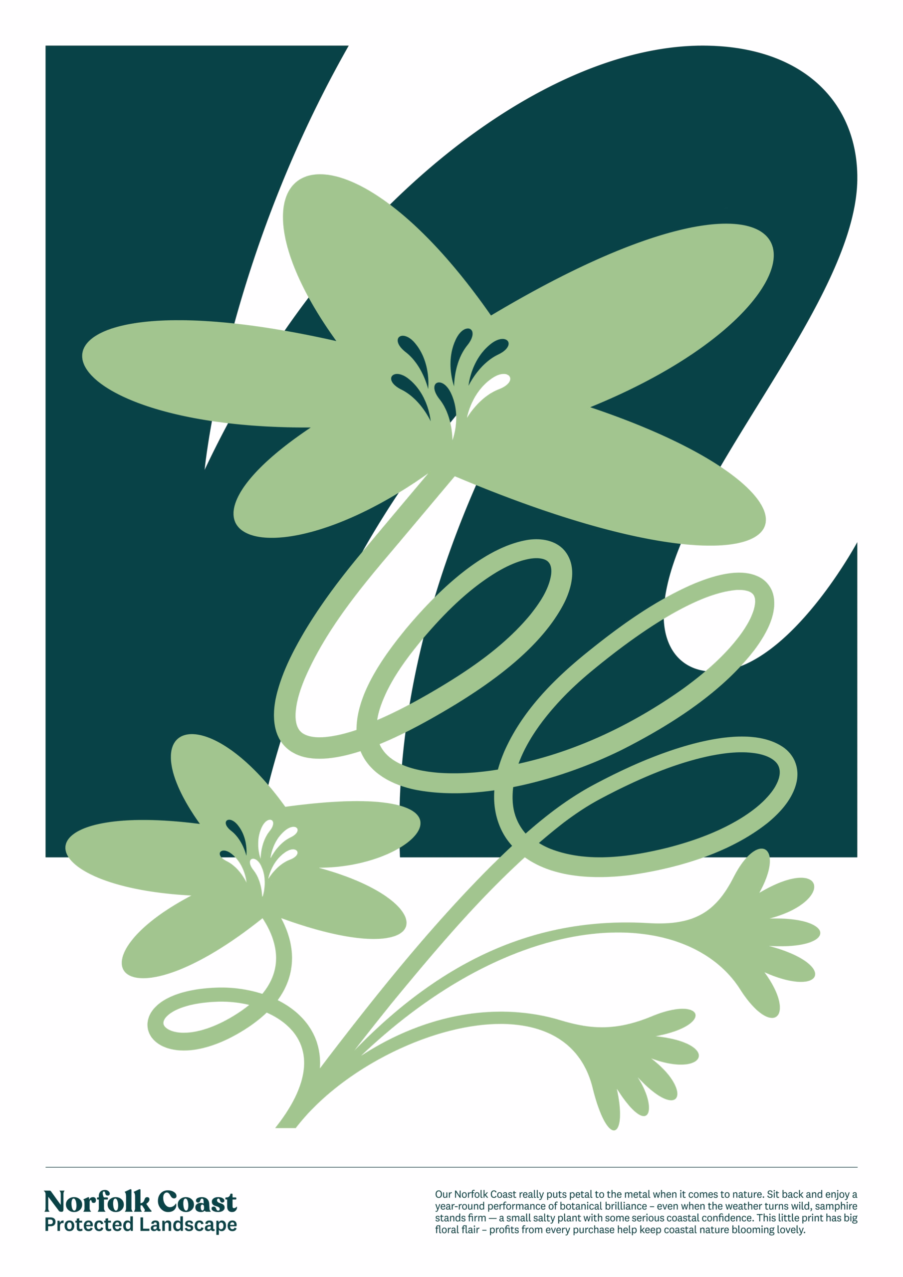 Coastal Flora poster
