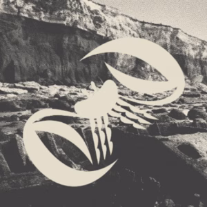 Poster featuring the Shore Crab at Hunstanton Cliffs design inspired by the Norfolk Coast