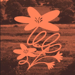 Poster featuring the Wild Blooms design inspired by the River Stiffkey and the Norfolk Coast
